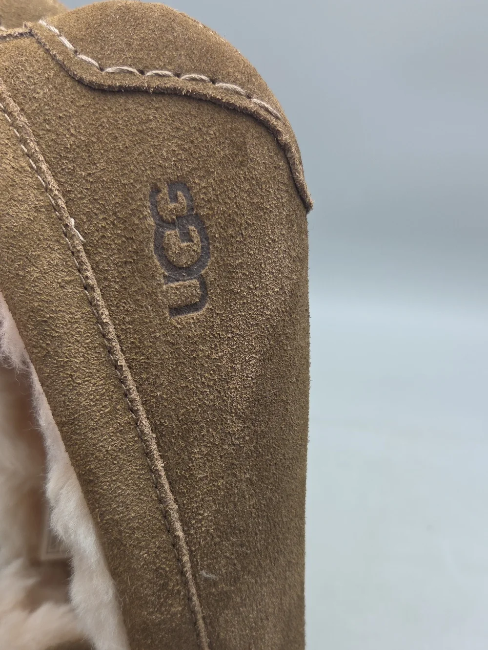 UGG questions leave